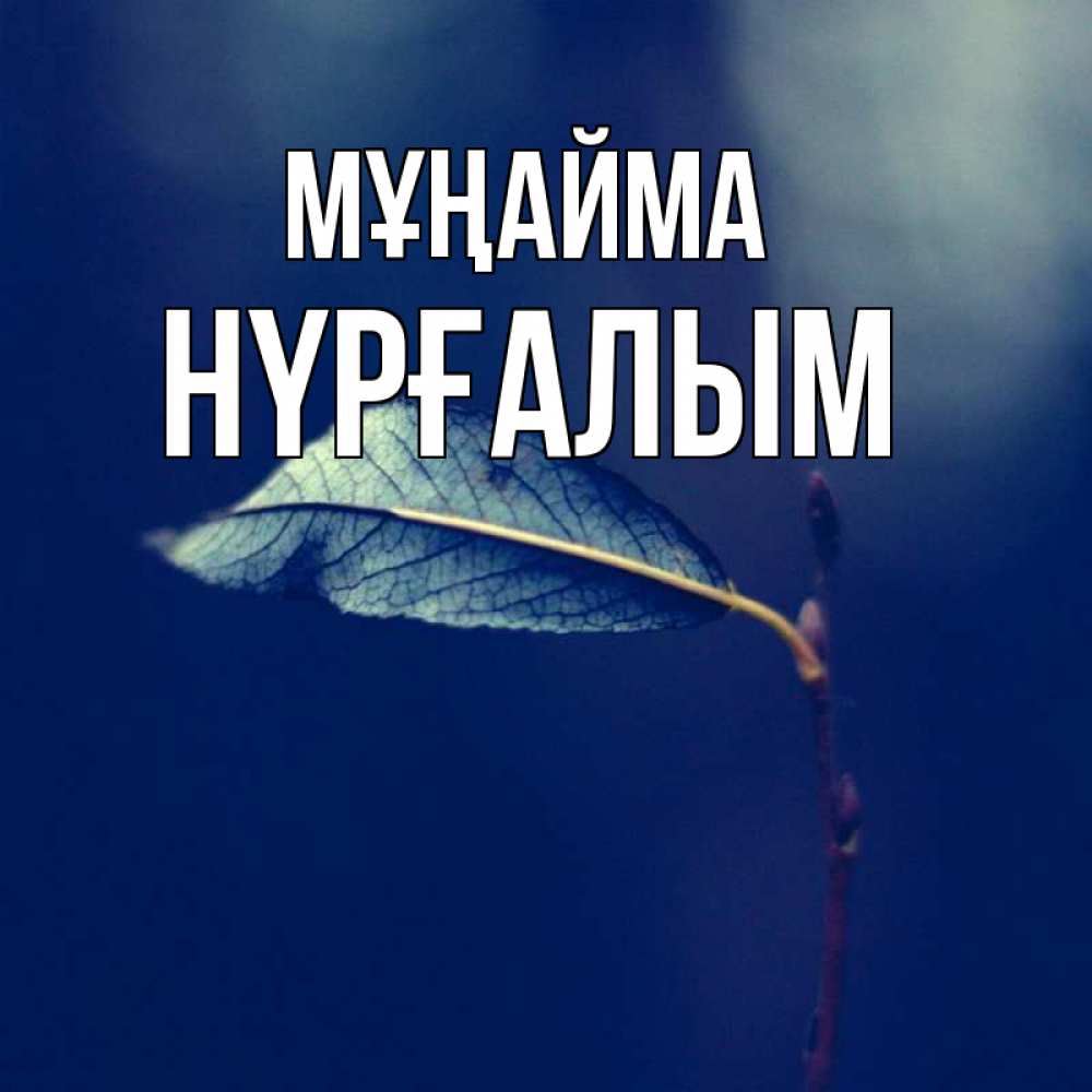 Күн сайын ашық хат с именем, НҮРҒАЛЫМ Мұңайма растение Онлайн тегін жүктеп алу тілектері бар керемет карта 