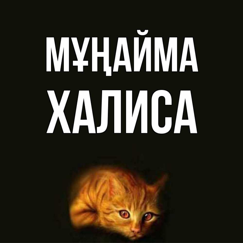 Күн сайын ашық хат с именем, ХАЛИСА Мұңайма лежащий кот в темноте Онлайн тегін жүктеп алу тілектері бар керемет карта 