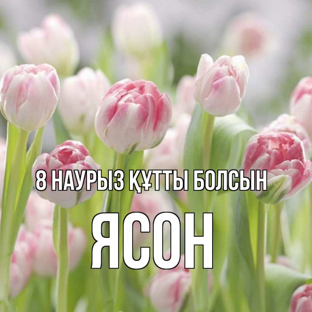 Күн сайын ашық хат с именем, Ясон 8 наурыз құтты болсын цветы Онлайн тегін жүктеп алу тілектері бар керемет карта 