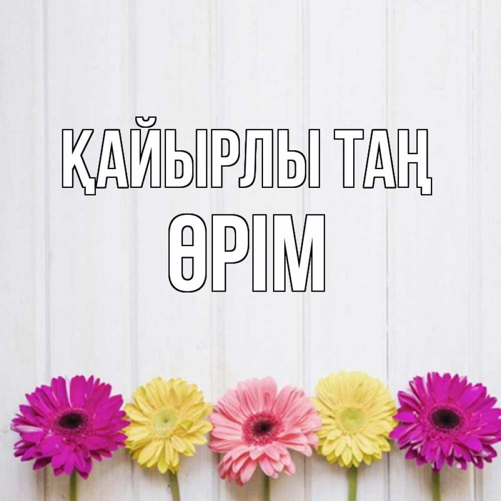 Күн сайын ашық хат с именем, ӨРІМ Қайырлы таң красный желтый и розовый цветок Онлайн тегін жүктеп алу тілектері бар керемет карта 