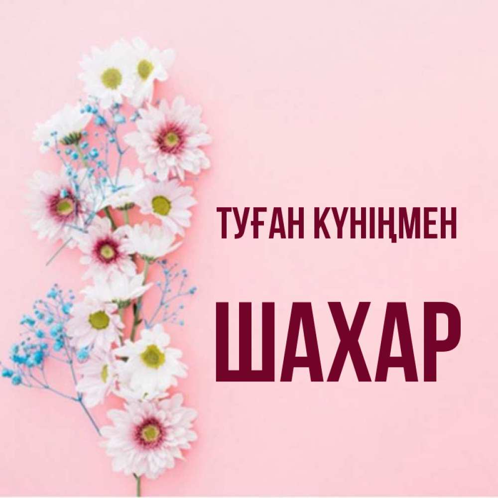 Күн сайын ашық хат с именем, ШАХАР Туған күніңмен Родная моя с днем рождения тебя картинка с цветами белыми и голубыми Онлайн тегін жүктеп алу тілектері бар керемет карта 