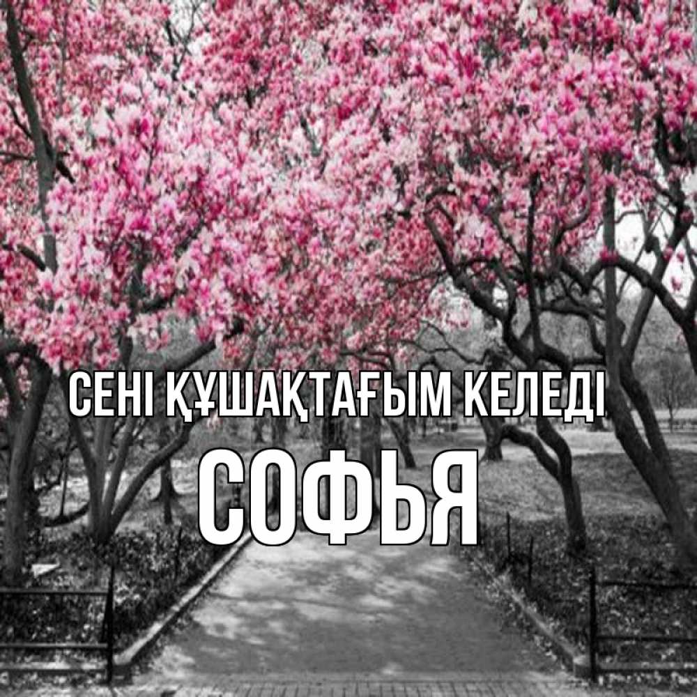 Күн сайын ашық хат с именем, Софья сені құшақтағым келеді обработанное фото Онлайн тегін жүктеп алу тілектері бар керемет карта 