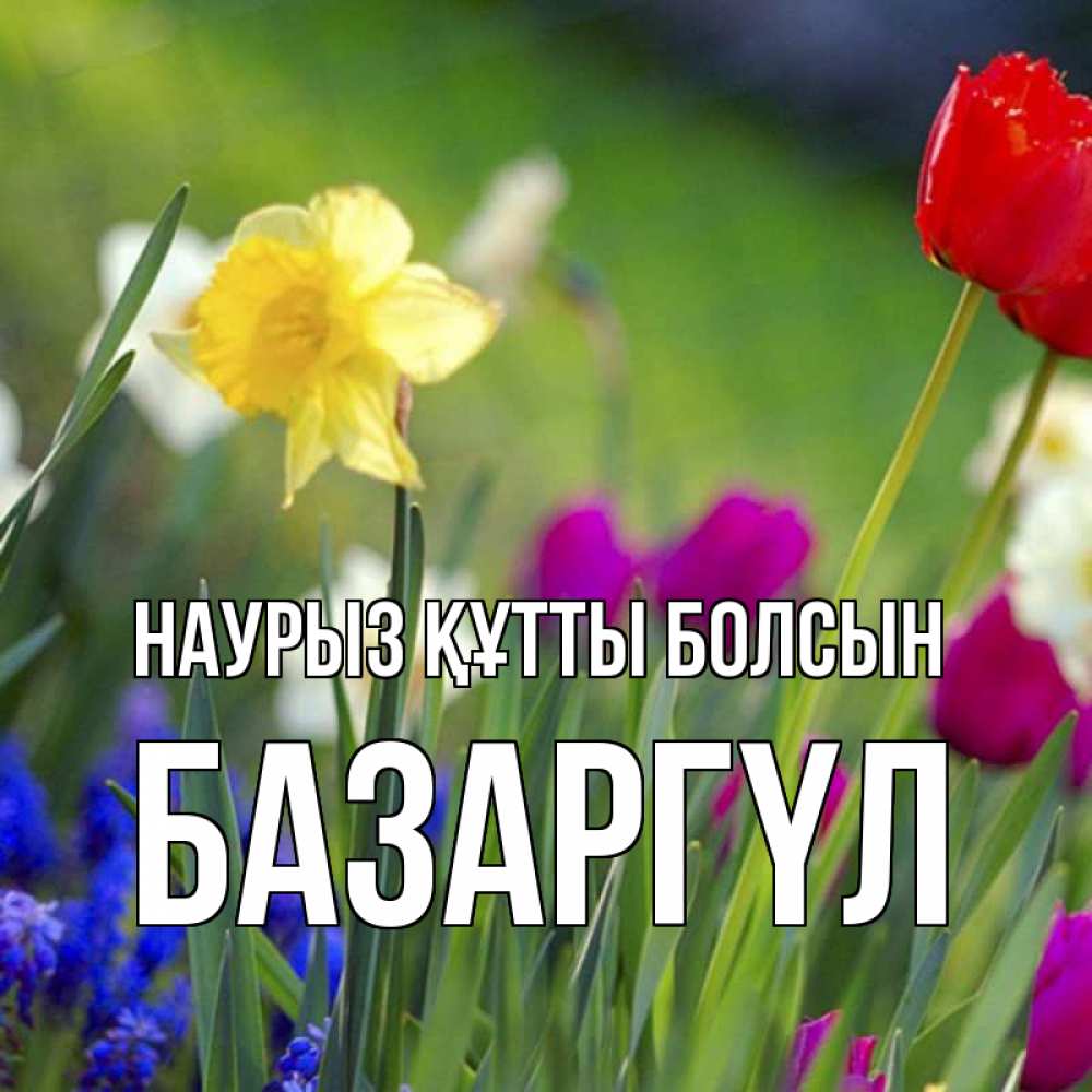 Күн сайын ашық хат с именем, БАЗАРГҮЛ Наурыз құтты болсын наурыз  3 открытки Онлайн тегін жүктеп алу тілектері бар керемет карта 