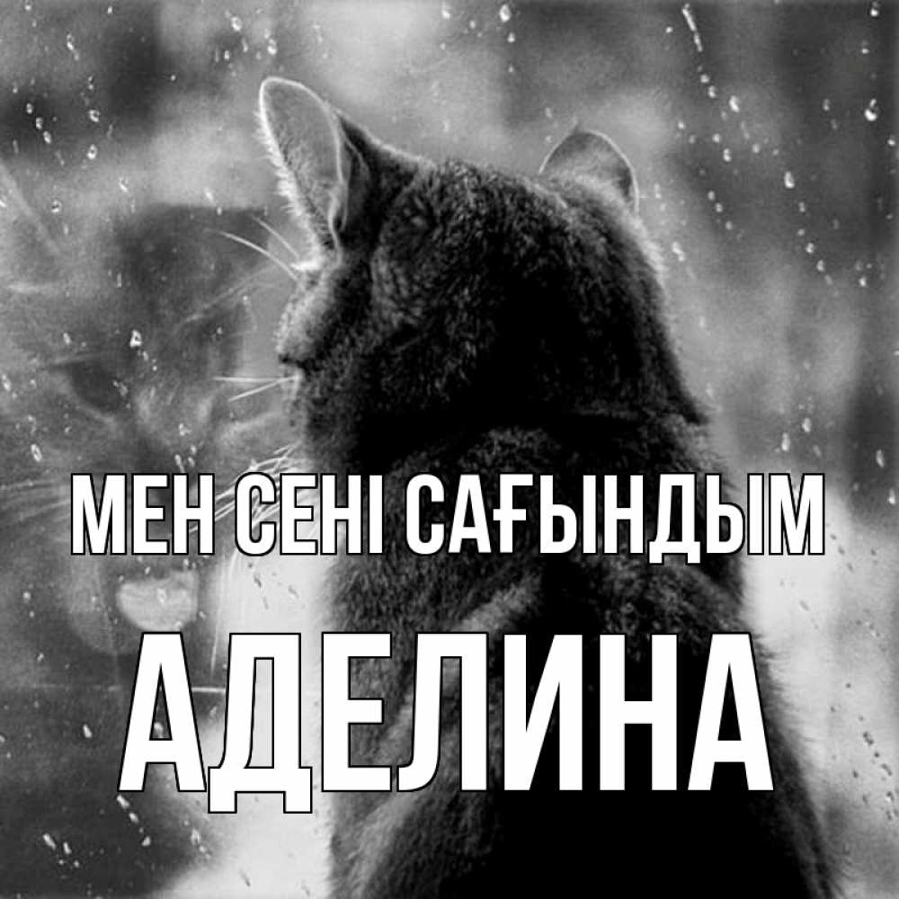 Күн сайын ашық хат с именем, Аделина Мен сені сағындым скорее ко мне приходи 1 Онлайн тегін жүктеп алу тілектері бар керемет карта 