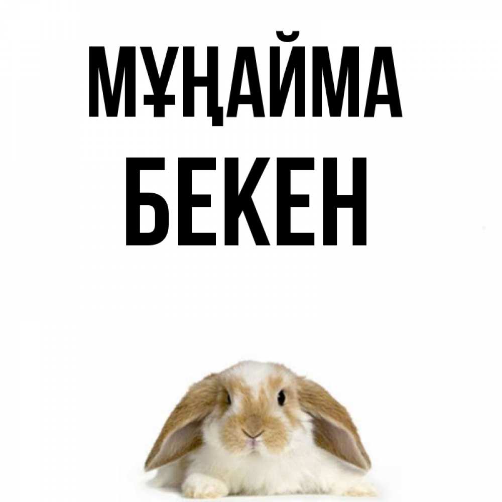 Күн сайын ашық хат с именем, Бекен Мұңайма коричнево белый заяц с большими ушками Онлайн тегін жүктеп алу тілектері бар керемет карта 