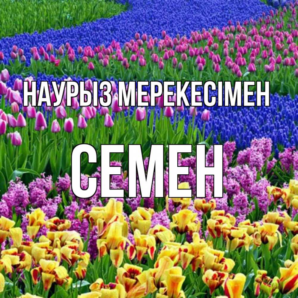 Күн сайын ашық хат с именем, Семен Наурыз мерекесімен цветы Онлайн тегін жүктеп алу тілектері бар керемет карта 