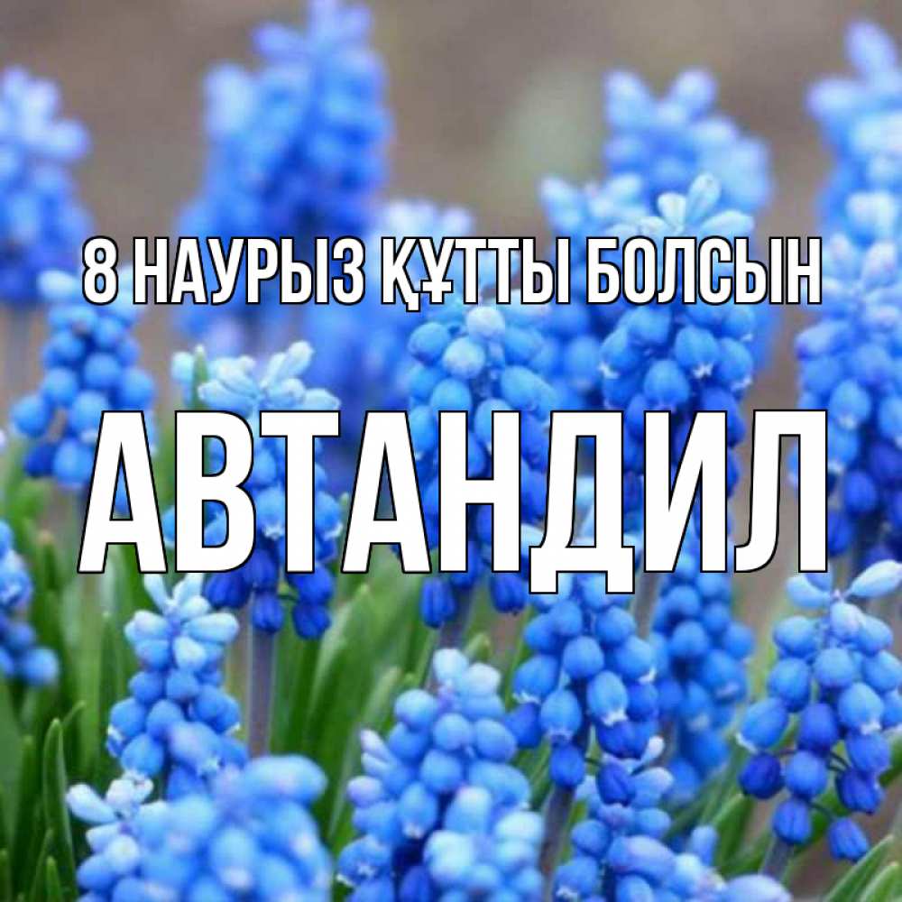 Күн сайын ашық хат с именем, Автандил 8 наурыз құтты болсын Поздравительная открытка для женщин с цветами на праздничную дату Онлайн тегін жүктеп алу тілектері бар керемет карта 