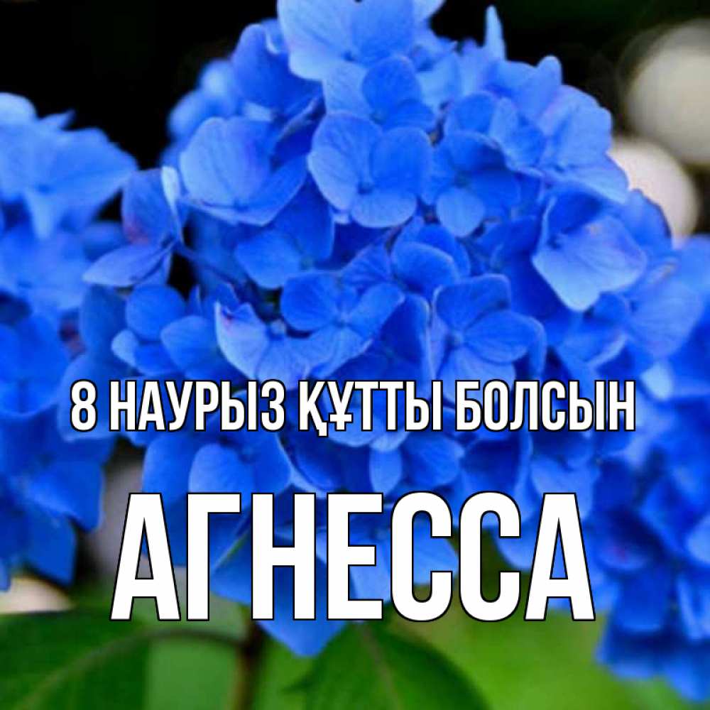 Күн сайын ашық хат с именем, Агнесса 8 наурыз құтты болсын синие цветы Онлайн тегін жүктеп алу тілектері бар керемет карта 