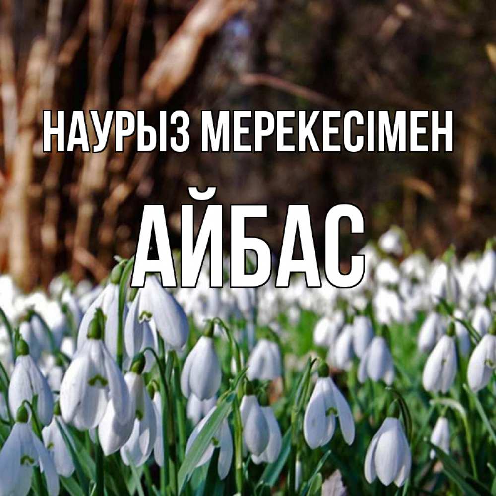 Күн сайын ашық хат с именем, Айбас Наурыз мерекесімен с подснежниками 1 Онлайн тегін жүктеп алу тілектері бар керемет карта 
