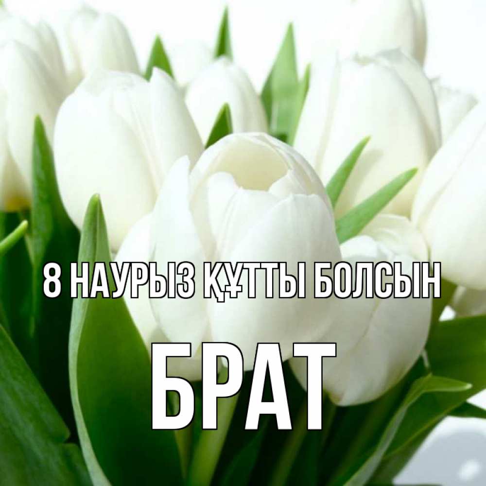 Күн сайын ашық хат с именем, Брат 8 наурыз құтты болсын цветы Онлайн тегін жүктеп алу тілектері бар керемет карта 