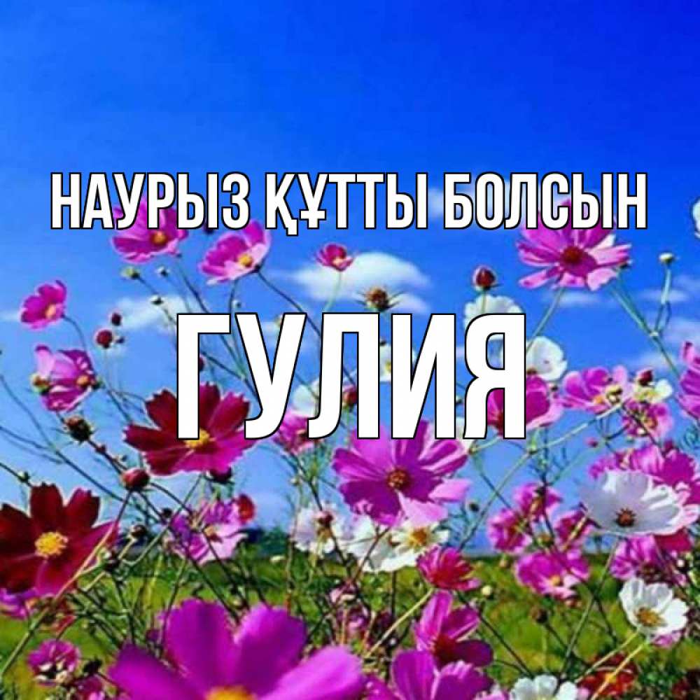 Күн сайын ашық хат с именем, Гулия Наурыз құтты болсын цветы Онлайн тегін жүктеп алу тілектері бар керемет карта 