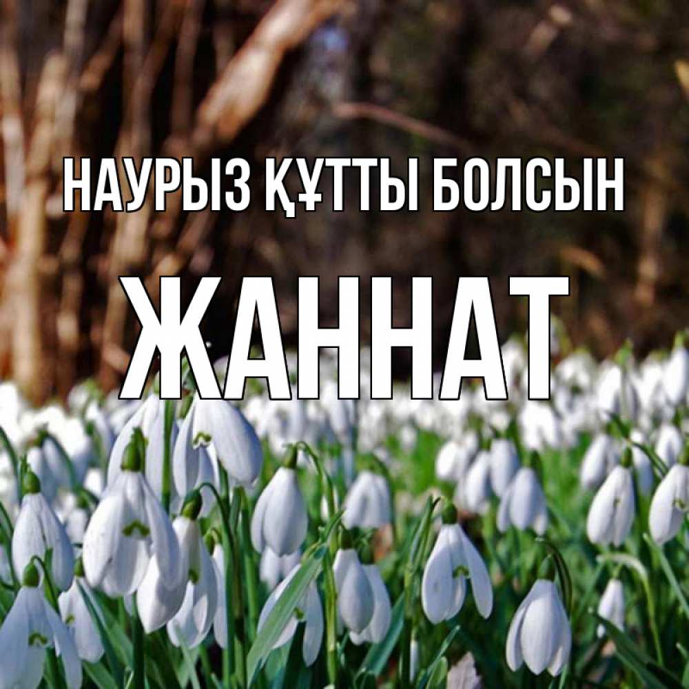 Күн сайын ашық хат с именем, ЖАННАТ Наурыз құтты болсын с подснежниками 1 Онлайн тегін жүктеп алу тілектері бар керемет карта 