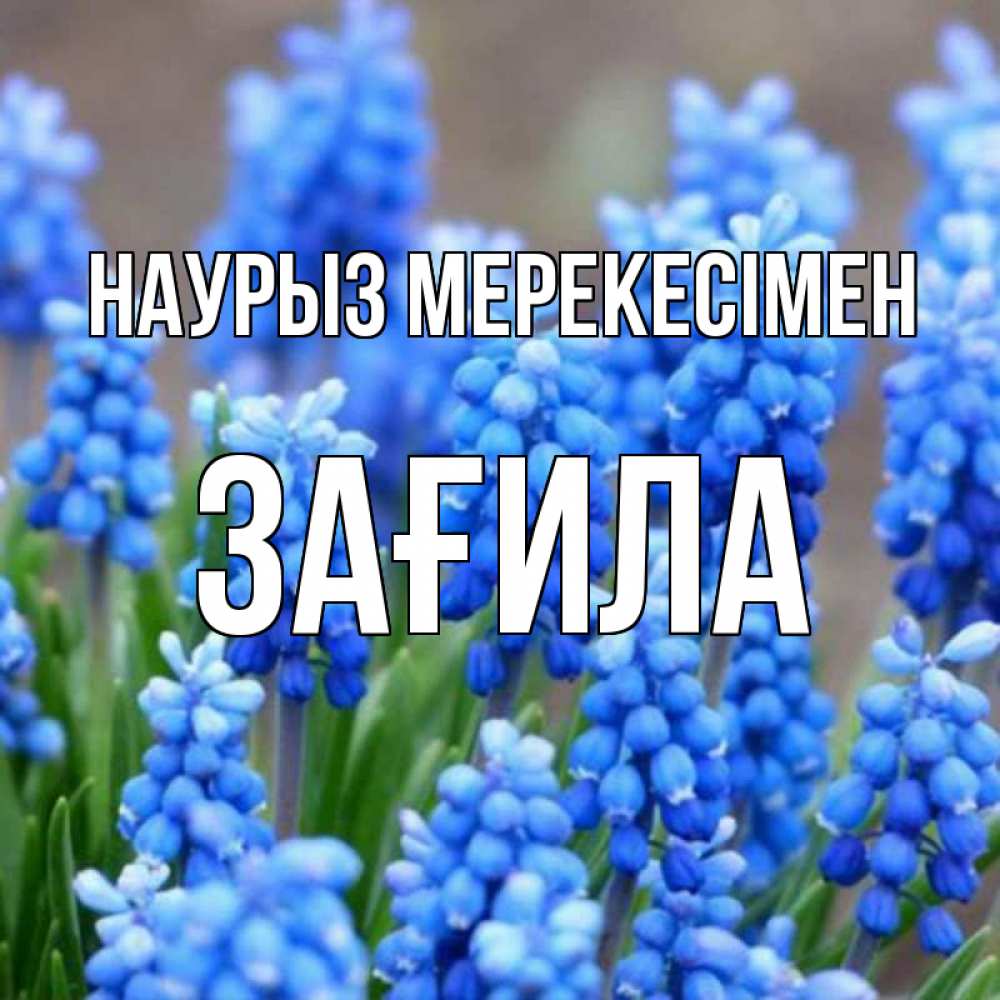 Күн сайын ашық хат с именем, ЗАҒИЛА Наурыз мерекесімен Поздравительная открытка для женщин с цветами на праздничную дату Онлайн тегін жүктеп алу тілектері бар керемет карта 