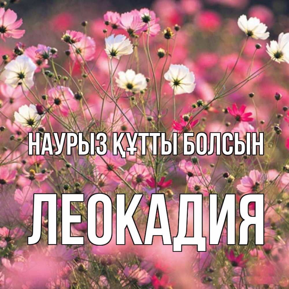Күн сайын ашық хат с именем, Леокадия Наурыз құтты болсын красиво 1 Онлайн тегін жүктеп алу тілектері бар керемет карта 