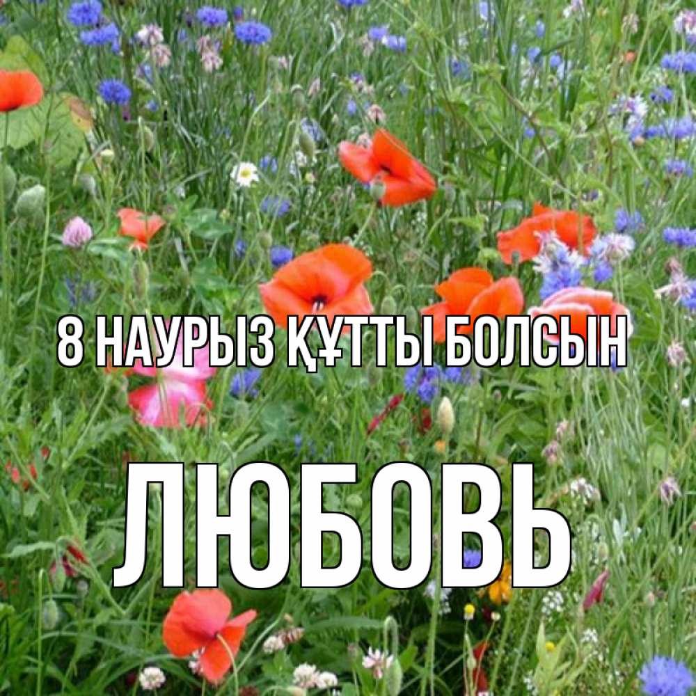 Күн сайын ашық хат с именем, Любовь 8 наурыз құтты болсын международный женский день 4 Онлайн тегін жүктеп алу тілектері бар керемет карта 
