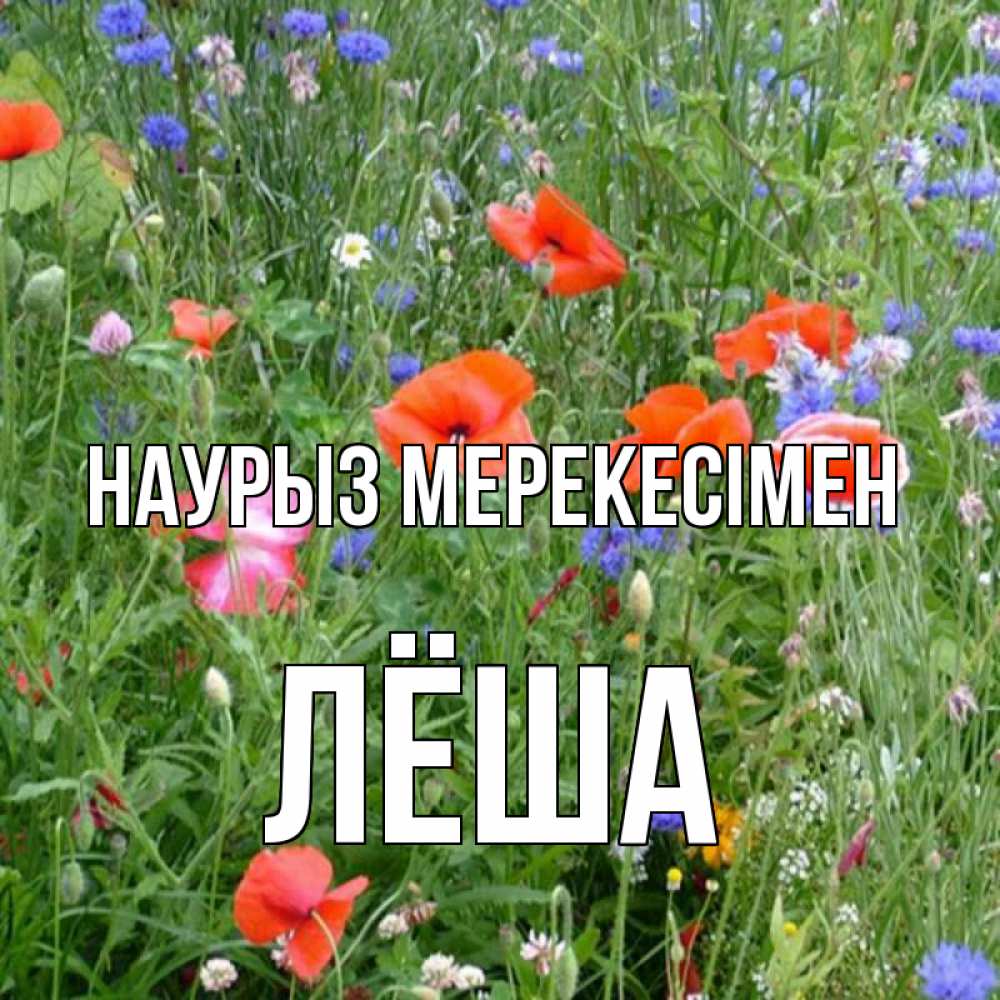 Күн сайын ашық хат с именем, Лёша Наурыз мерекесімен праздник весны наурыз супер открытка Онлайн тегін жүктеп алу тілектері бар керемет карта 