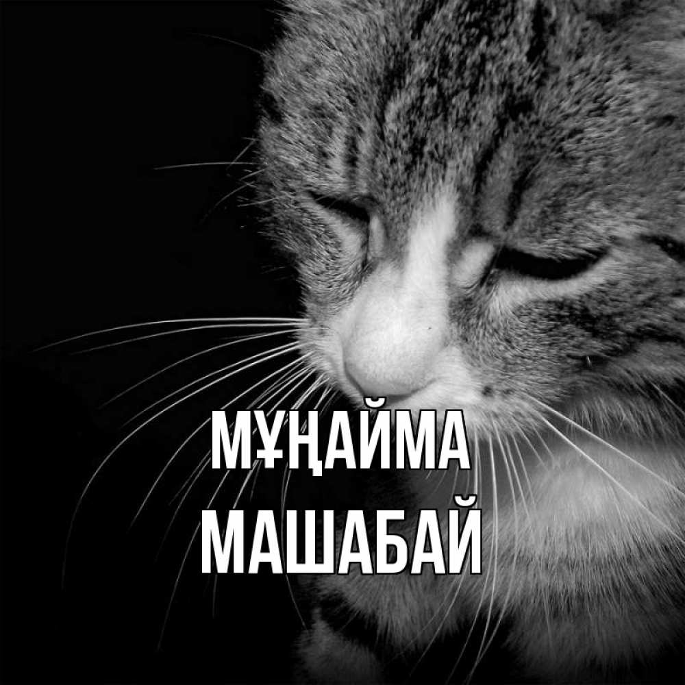 Күн сайын ашық хат с именем, МАШАБАЙ Мұңайма грустный котик Онлайн тегін жүктеп алу тілектері бар керемет карта 