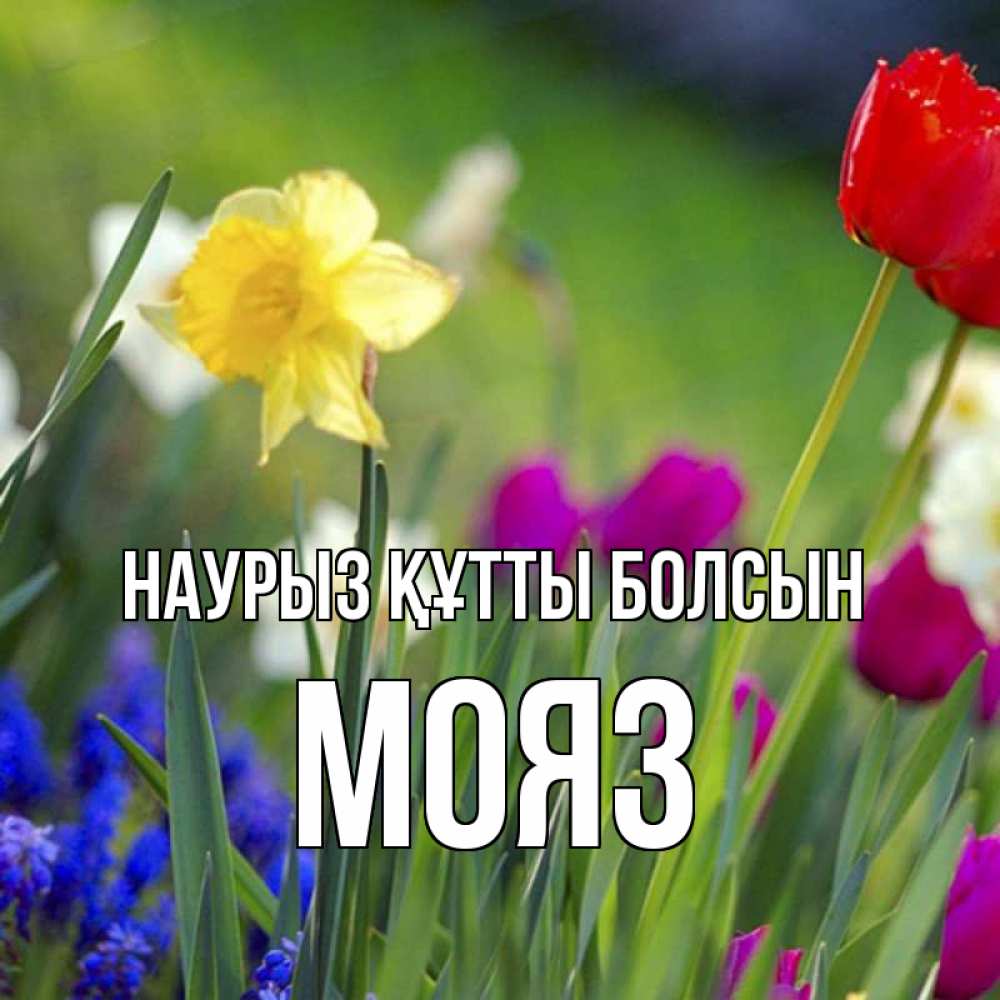 Күн сайын ашық хат с именем, МОЯЗ Наурыз құтты болсын наурыз  3 открытки Онлайн тегін жүктеп алу тілектері бар керемет карта 