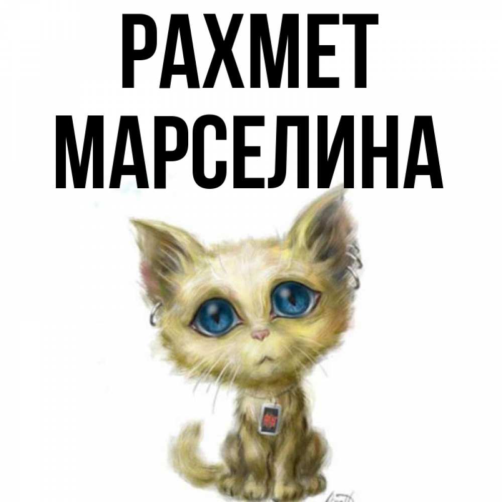 Күн сайын ашық хат с именем, Марселина рахмет рисованный кот благодарит вас Онлайн тегін жүктеп алу тілектері бар керемет карта 