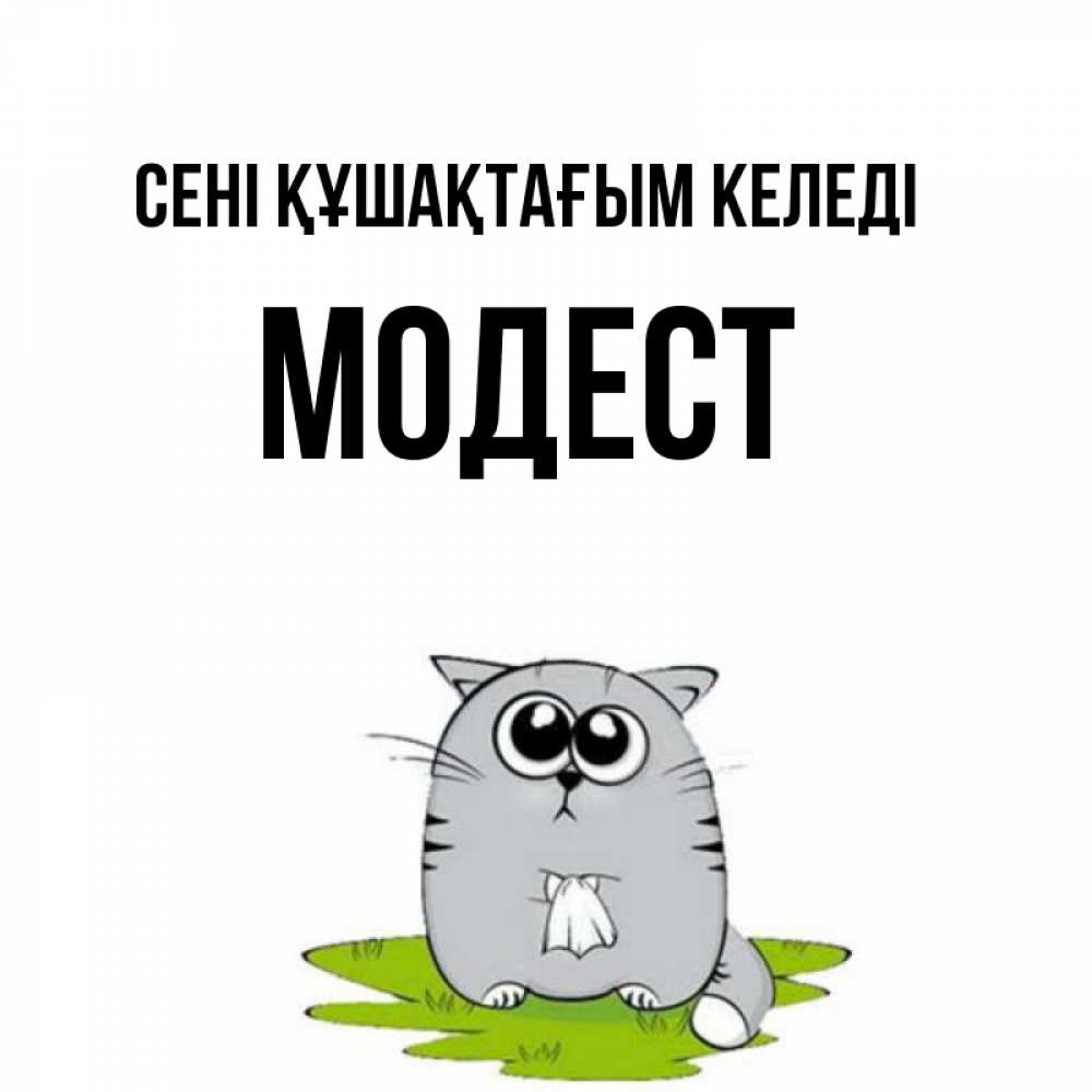 Күн сайын ашық хат с именем, Модест сені құшақтағым келеді котик теребит платочек сидя на травке Онлайн тегін жүктеп алу тілектері бар керемет карта 