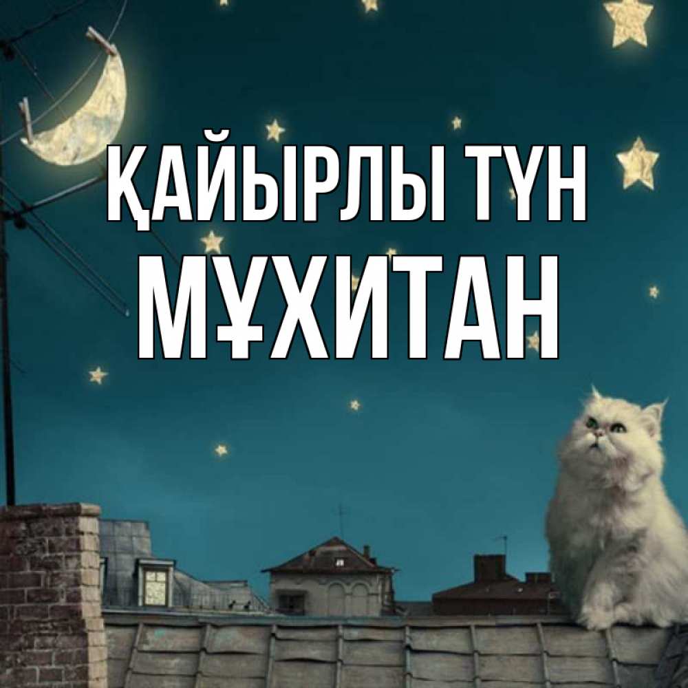 Күн сайын ашық хат с именем, МҰХИТАН Қайырлы түн белый кот сидит на крыше Онлайн тегін жүктеп алу тілектері бар керемет карта 