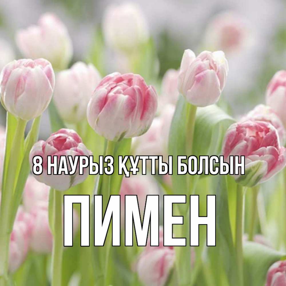 Күн сайын ашық хат с именем, Пимен 8 наурыз құтты болсын цветы Онлайн тегін жүктеп алу тілектері бар керемет карта 