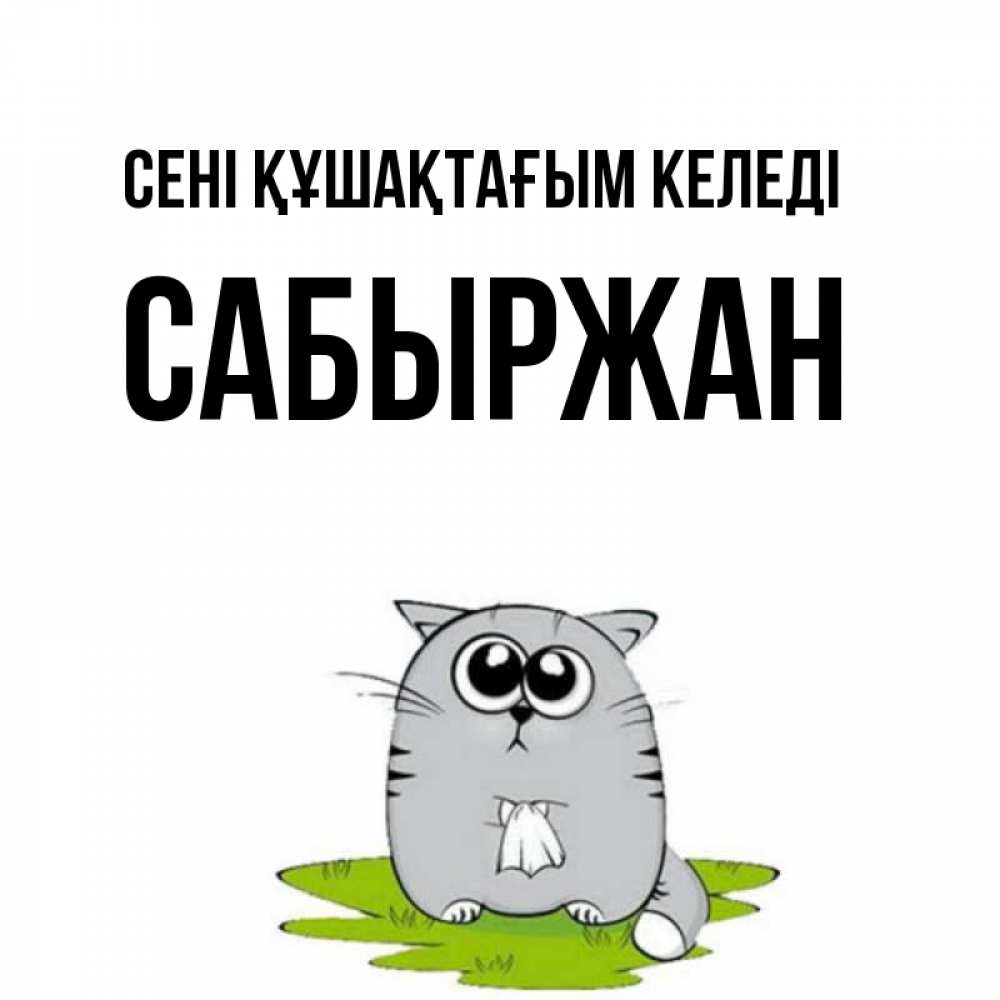 Күн сайын ашық хат с именем, САБЫРЖАН сені құшақтағым келеді котик теребит платочек сидя на травке Онлайн тегін жүктеп алу тілектері бар керемет карта 