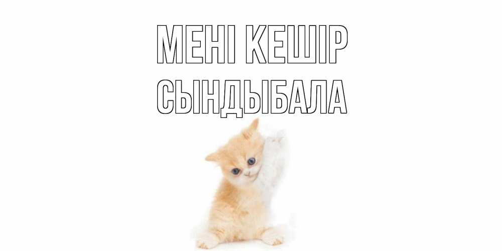 Күн сайын ашық хат с именем, СЫНДЫБАЛА Мені кешір кот Онлайн тегін жүктеп алу тілектері бар керемет карта 