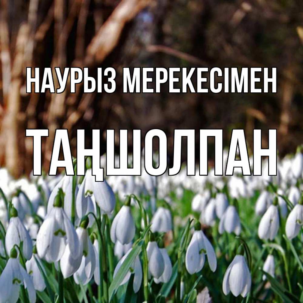 Күн сайын ашық хат с именем, ТАҢШОЛПАН Наурыз мерекесімен с подснежниками 1 Онлайн тегін жүктеп алу тілектері бар керемет карта 