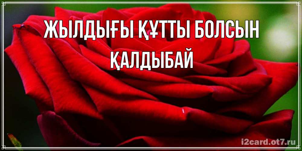 Күн сайын ашық хат с именем, Қалдыбай Жылдығы құтты болсын розочка очень красивая Онлайн тегін жүктеп алу тілектері бар керемет карта 