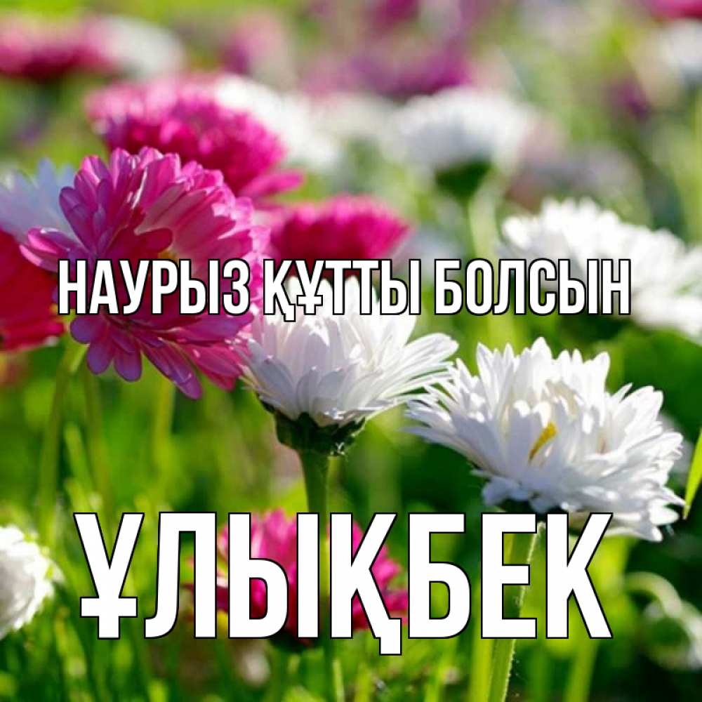 Күн сайын ашық хат с именем, ҰЛЫҚБЕК Наурыз құтты болсын наурыз Онлайн тегін жүктеп алу тілектері бар керемет карта 