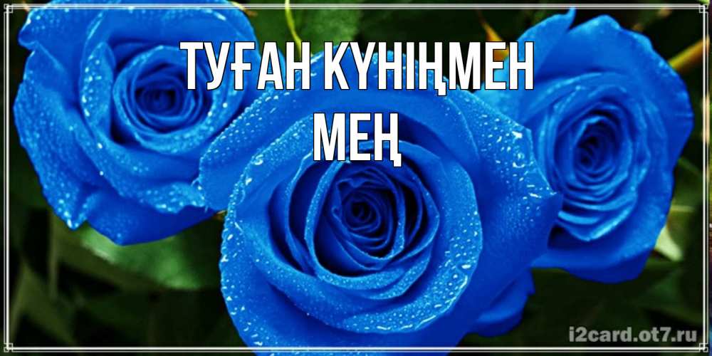 Күн сайын ашық хат с именем, МЕҢ Туған күніңмен розы с синим цветом Онлайн тегін жүктеп алу тілектері бар керемет карта 
