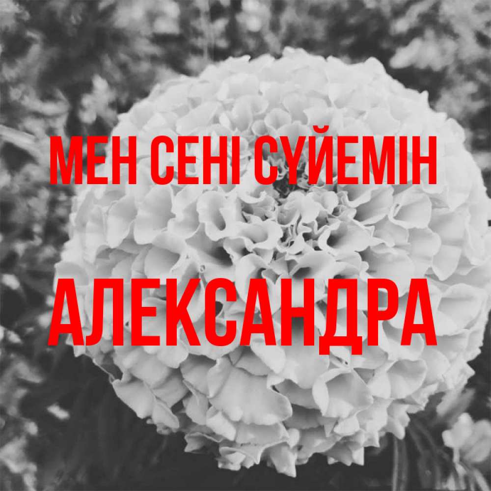 Күн сайын ашық хат с именем, Александра Мен сені сүйемін подпись Онлайн тегін жүктеп алу тілектері бар керемет карта 