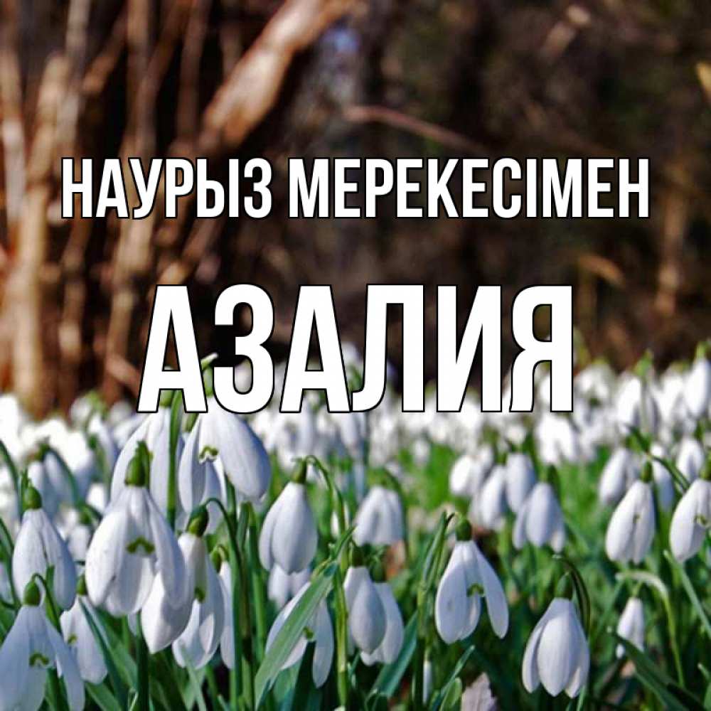 Күн сайын ашық хат с именем, Азалия Наурыз мерекесімен с подснежниками 1 Онлайн тегін жүктеп алу тілектері бар керемет карта 