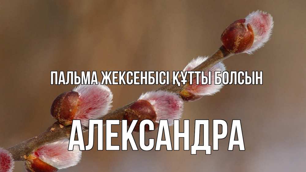 Күн сайын ашық хат с именем, Александра Пальма жексенбісі құтты болсын верба Онлайн тегін жүктеп алу тілектері бар керемет карта 