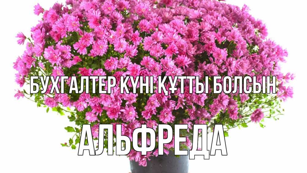 Күн сайын ашық хат с именем, Альфреда бухгалтер күні құтты болсын с днем бухгалтера Онлайн тегін жүктеп алу тілектері бар керемет карта 