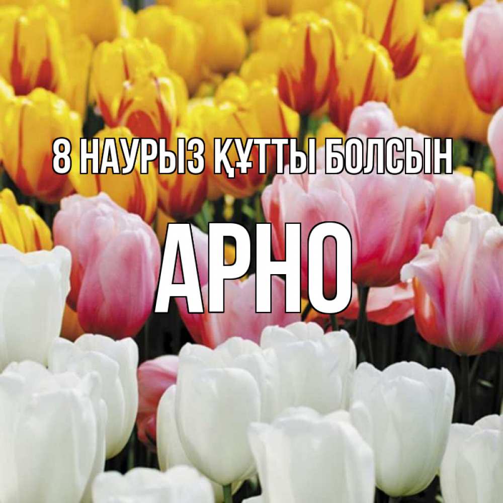 Күн сайын ашық хат с именем, Арно 8 наурыз құтты болсын разноцветные цветы Онлайн тегін жүктеп алу тілектері бар керемет карта 