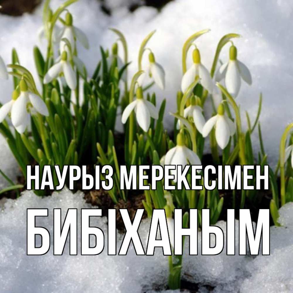 Күн сайын ашық хат с именем, БИБІХАНЫМ Наурыз мерекесімен цветы весенние Онлайн тегін жүктеп алу тілектері бар керемет карта 