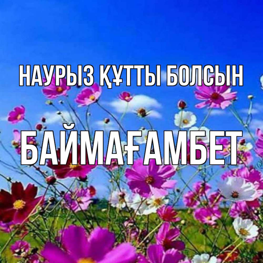 Күн сайын ашық хат с именем, Баймағамбет Наурыз құтты болсын цветы Онлайн тегін жүктеп алу тілектері бар керемет карта 
