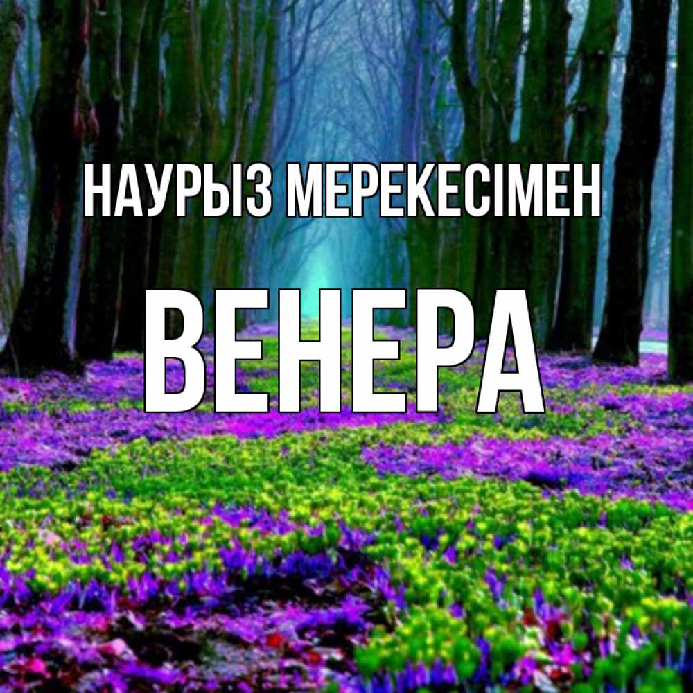 Күн сайын ашық хат с именем, Венера Наурыз мерекесімен фиолетовые цветы в лесу 1 Онлайн тегін жүктеп алу тілектері бар керемет карта 