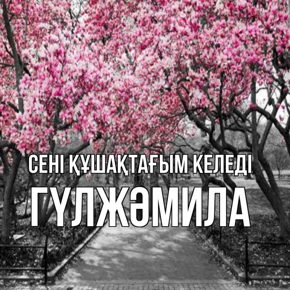 Күн сайын ашық хат с именем, ГҮЛЖӘМИЛА сені құшақтағым келеді обработанное фото Онлайн тегін жүктеп алу тілектері бар керемет карта 