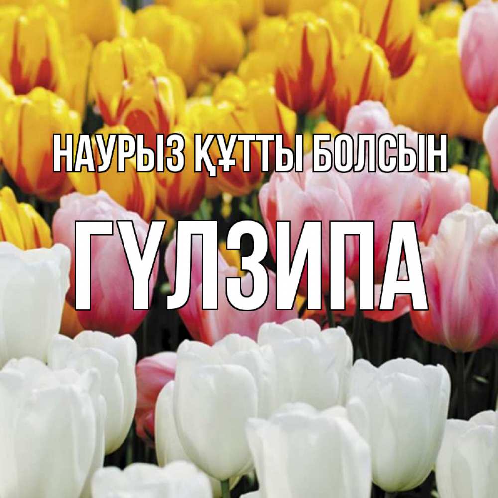 Күн сайын ашық хат с именем, ГҮЛЗИПА Наурыз құтты болсын разноцветные цветы Онлайн тегін жүктеп алу тілектері бар керемет карта 