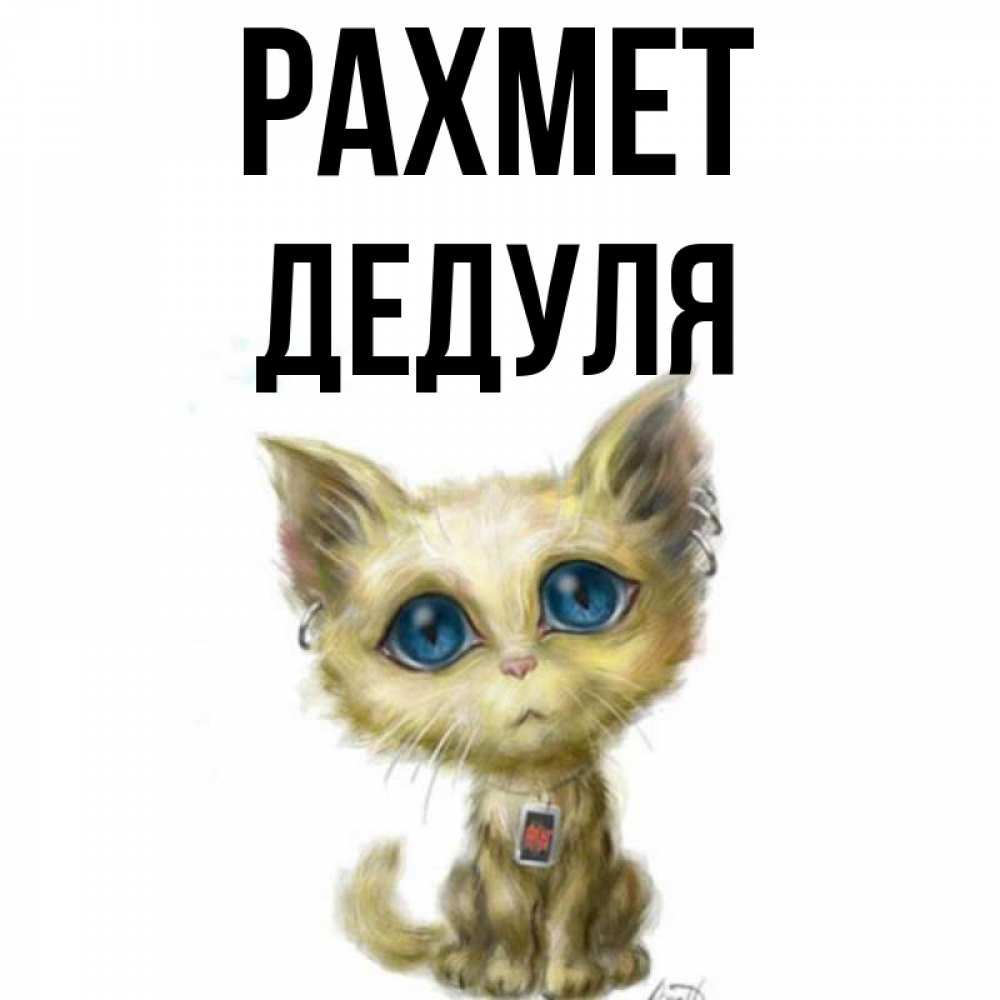 Күн сайын ашық хат с именем, Дедуля рахмет рисованный кот благодарит вас Онлайн тегін жүктеп алу тілектері бар керемет карта 