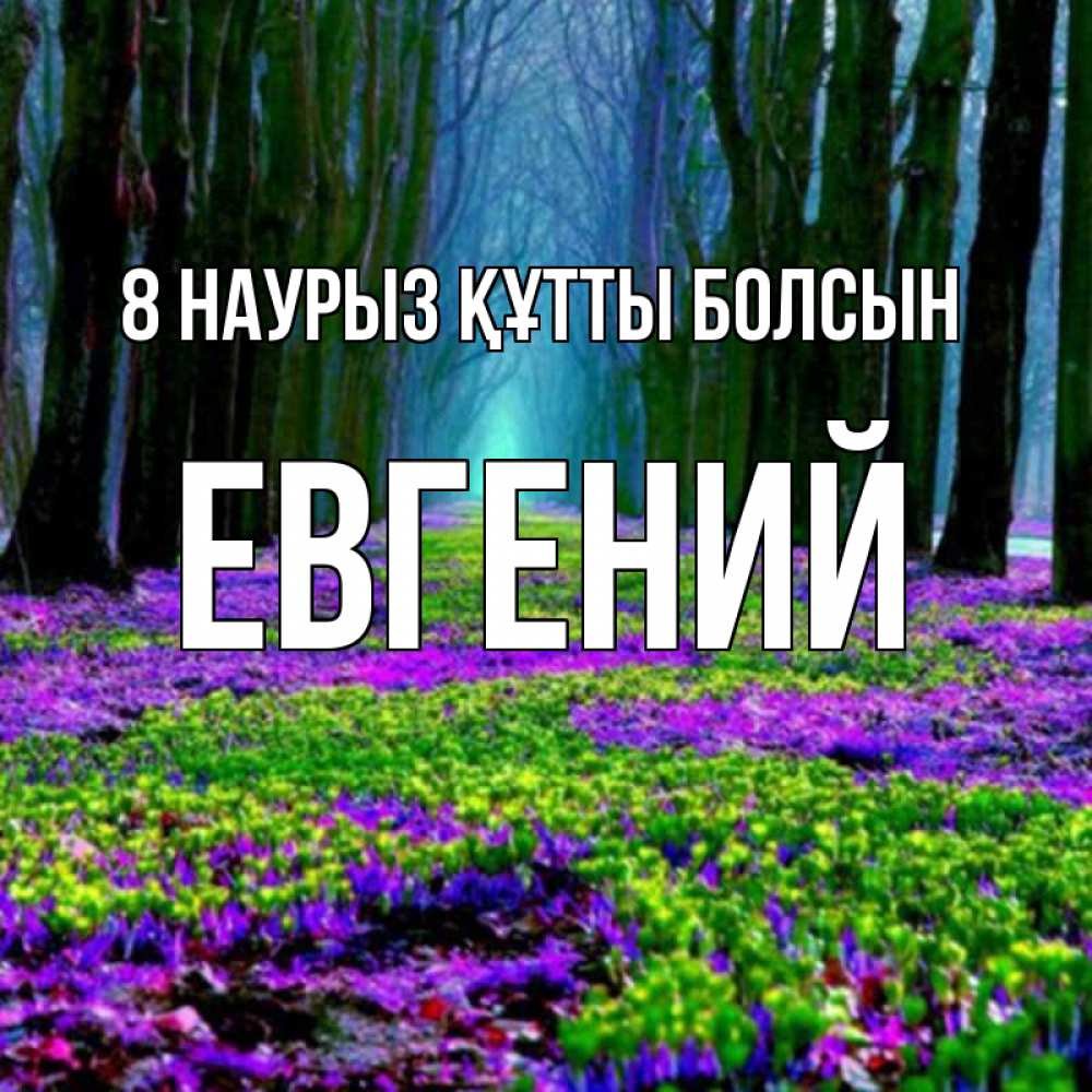 Күн сайын ашық хат с именем, Евгений 8 наурыз құтты болсын фиолетовые цветы в лесу 1 Онлайн тегін жүктеп алу тілектері бар керемет карта 