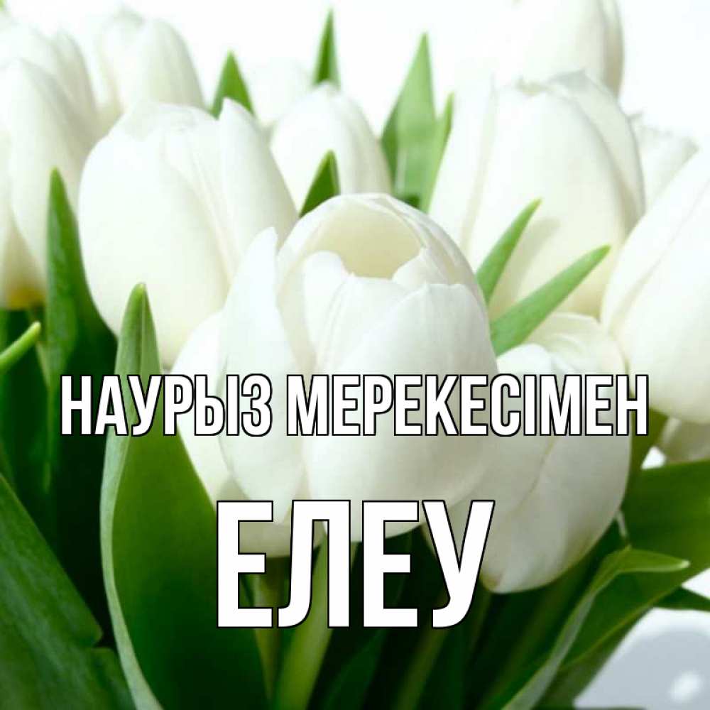 Күн сайын ашық хат с именем, Елеу Наурыз мерекесімен цветы Онлайн тегін жүктеп алу тілектері бар керемет карта 