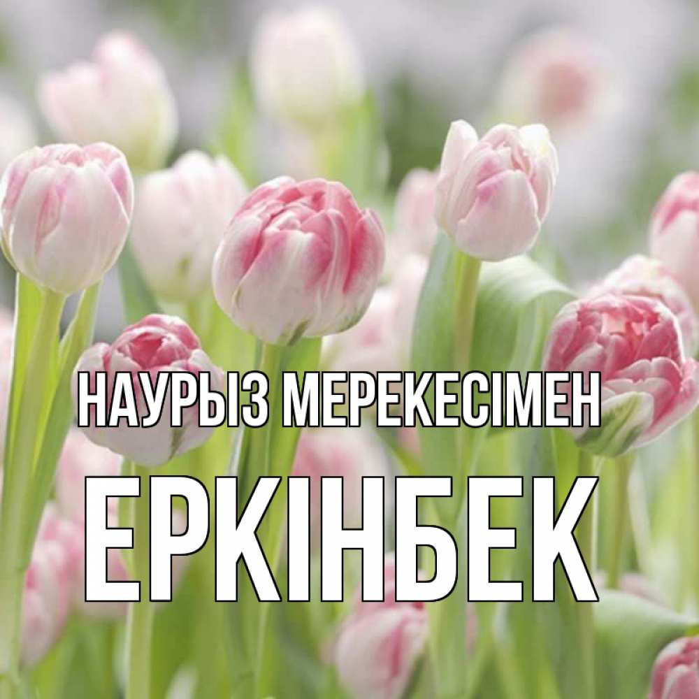 Күн сайын ашық хат с именем, Еркінбек Наурыз мерекесімен цветы Онлайн тегін жүктеп алу тілектері бар керемет карта 