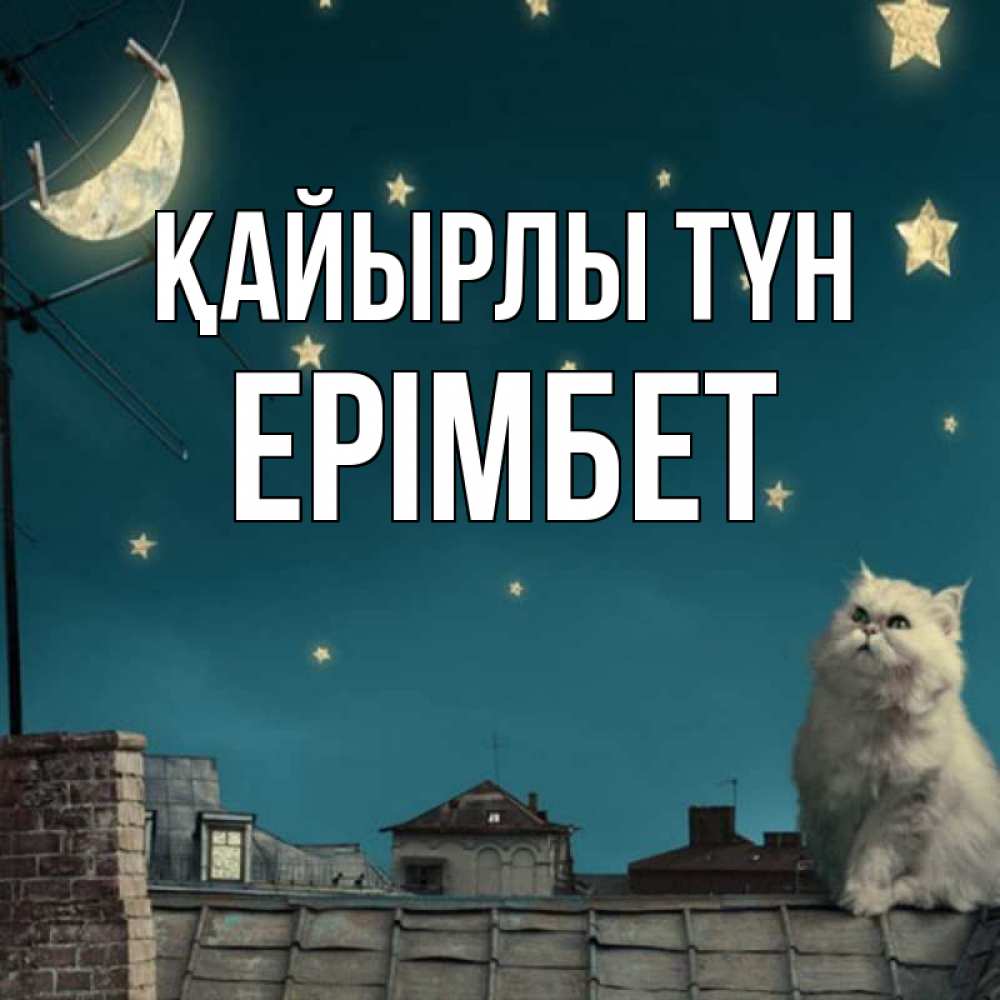 Күн сайын ашық хат с именем, Ерімбет Қайырлы түн белый кот сидит на крыше Онлайн тегін жүктеп алу тілектері бар керемет карта 
