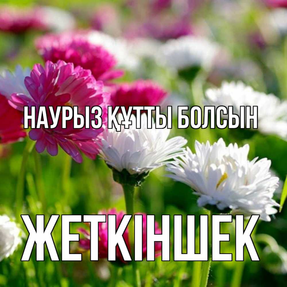 Күн сайын ашық хат с именем, Жеткіншек Наурыз құтты болсын наурыз Онлайн тегін жүктеп алу тілектері бар керемет карта 