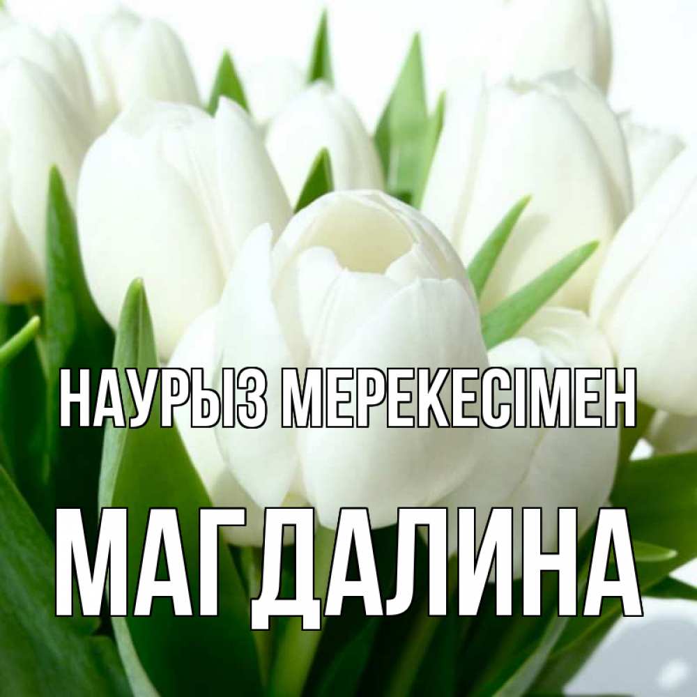 Күн сайын ашық хат с именем, Магдалина Наурыз мерекесімен цветы Онлайн тегін жүктеп алу тілектері бар керемет карта 