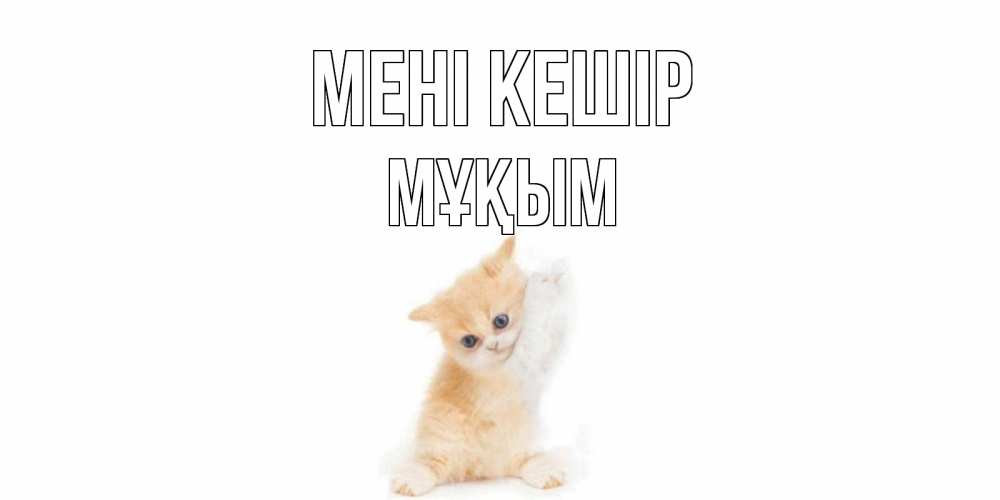 Күн сайын ашық хат с именем, МҰҚЫМ Мені кешір кот Онлайн тегін жүктеп алу тілектері бар керемет карта 